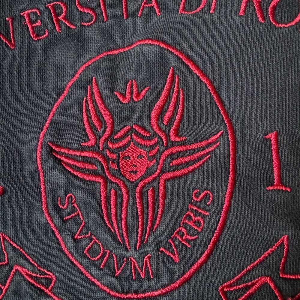 Unisex sweatshirt from famous Sapienza University, Rome Italy. Size L. - Picture 8 of 8